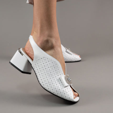 Collection image for: Pantofi eleganti